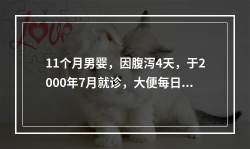 11个月男婴，因腹泻4天，于2000年7月就诊，大便每日10