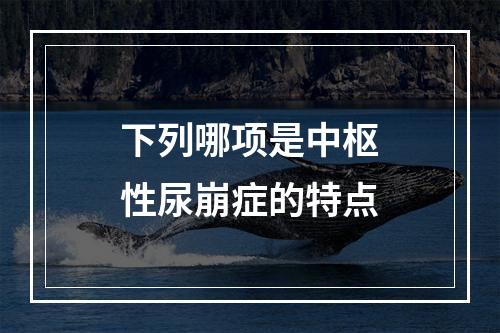 下列哪项是中枢性尿崩症的特点