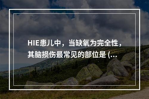 HIE患儿中，当缺氧为完全性，其脑损伤最常见的部位是 ( )