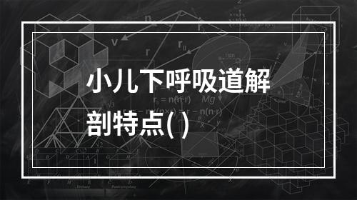 小儿下呼吸道解剖特点( )