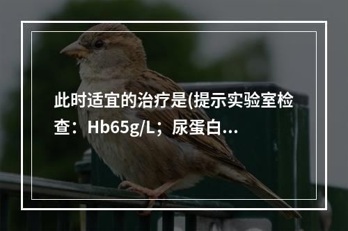 此时适宜的治疗是(提示实验室检查：Hb65g/L；尿蛋白（+