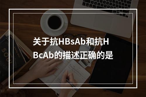 关于抗HBsAb和抗HBcAb的描述正确的是