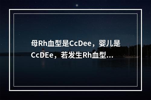 母Rh血型是CcDee，婴儿是CcDEe，若发生Rh血型不合