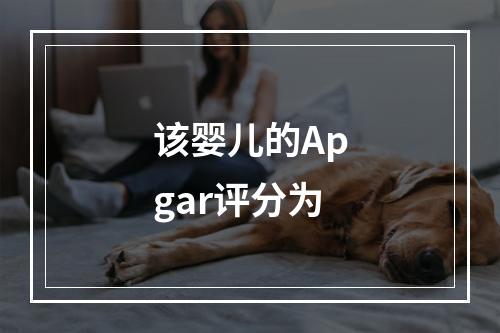 该婴儿的Apgar评分为