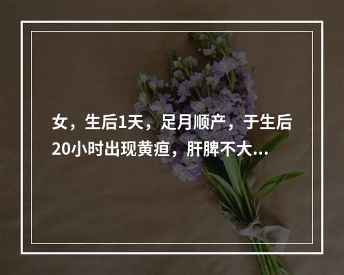 女，生后1天，足月顺产，于生后20小时出现黄疸，肝脾不大，母