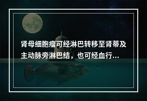 肾母细胞瘤可经淋巴转移至肾蒂及主动脉旁淋巴结，也可经血行转移