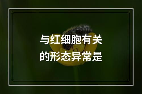 与红细胞有关的形态异常是