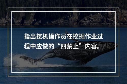 指出挖机操作员在挖掘作业过程中应做的“四禁止”内容。