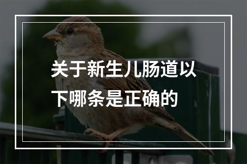 关于新生儿肠道以下哪条是正确的