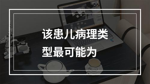 该患儿病理类型最可能为