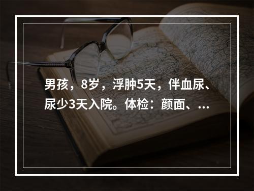 男孩，8岁，浮肿5天，伴血尿、尿少3天入院。体检：颜面、双下