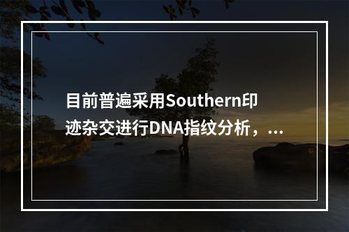 目前普遍采用Southern印迹杂交进行DNA指纹分析，用于