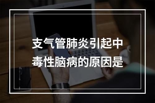 支气管肺炎引起中毒性脑病的原因是