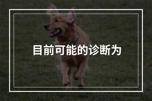 目前可能的诊断为