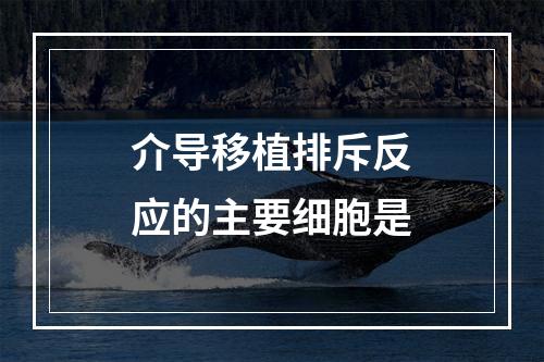 介导移植排斥反应的主要细胞是