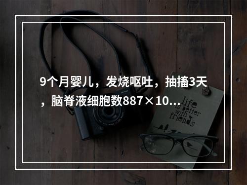 9个月婴儿，发烧呕吐，抽搐3天，脑脊液细胞数887×10／L