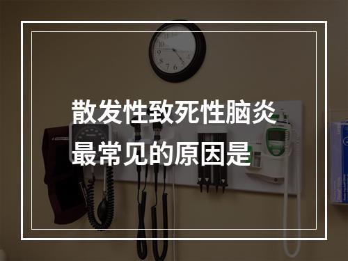 散发性致死性脑炎最常见的原因是