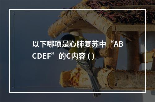 以下哪项是心肺复苏中“ABCDEF”的C内容 ( )