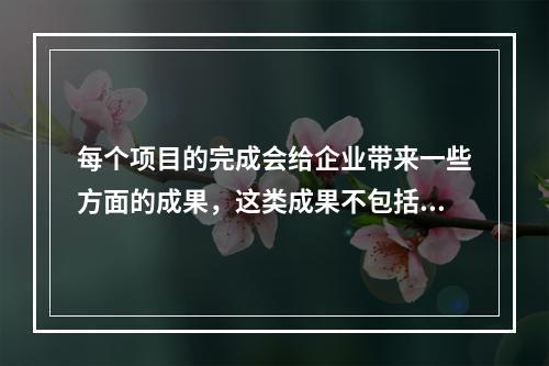 每个项目的完成会给企业带来一些方面的成果，这类成果不包括()