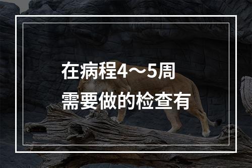 在病程4～5周需要做的检查有