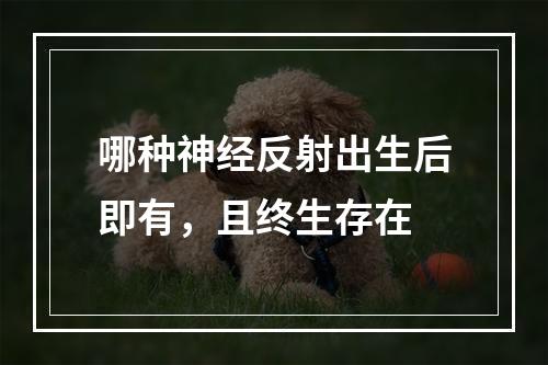 哪种神经反射出生后即有，且终生存在