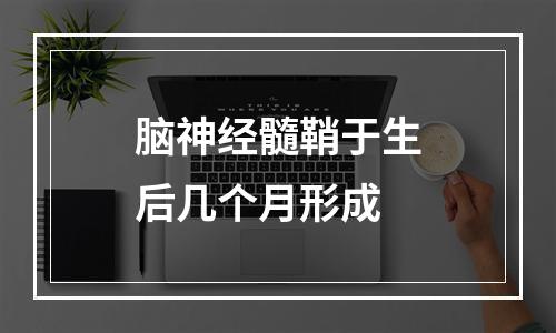 脑神经髓鞘于生后几个月形成