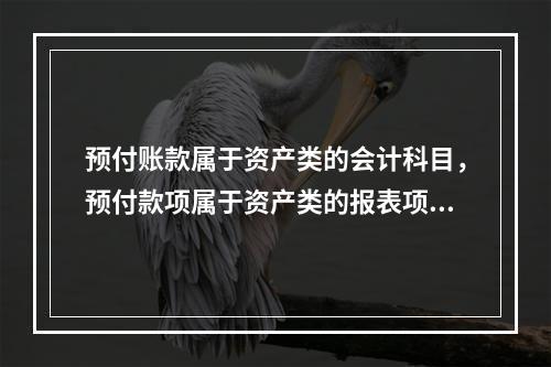 预付账款属于资产类的会计科目，预付款项属于资产类的报表项目。