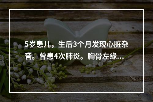 5岁患儿，生后3个月发现心脏杂音。曾患4次肺炎。胸骨左缘3～