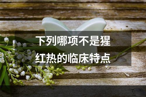 下列哪项不是猩红热的临床特点