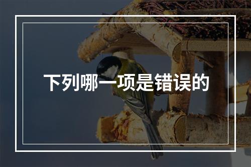 下列哪一项是错误的