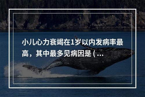 小儿心力衰竭在1岁以内发病率最高，其中最多见病因是 ( )