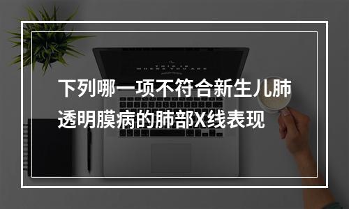 下列哪一项不符合新生儿肺透明膜病的肺部X线表现