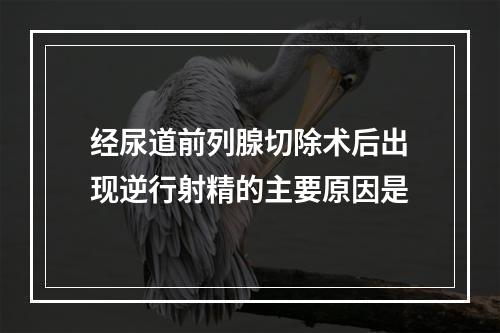 经尿道前列腺切除术后出现逆行射精的主要原因是