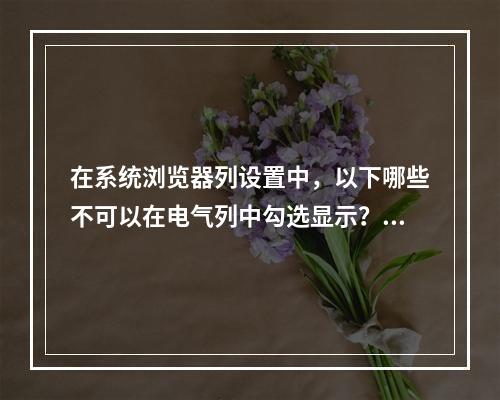 在系统浏览器列设置中，以下哪些不可以在电气列中勾选显示？()