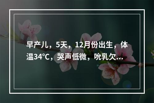 早产儿，5天，12月份出生，体温34℃，哭声低微，吮乳欠佳，