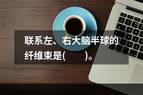 联系左、右大脑半球的纤维束是(　　)。