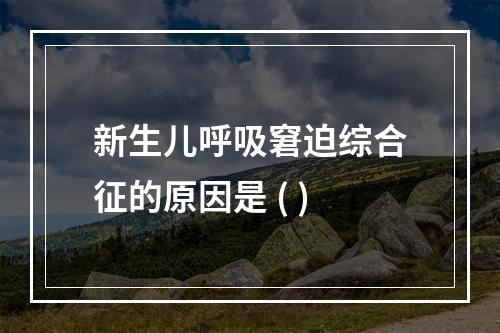 新生儿呼吸窘迫综合征的原因是 ( )