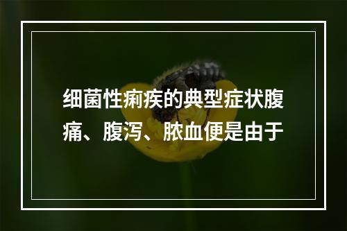 细菌性痢疾的典型症状腹痛、腹泻、脓血便是由于