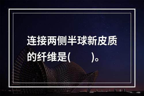 连接两侧半球新皮质的纤维是(　　)。