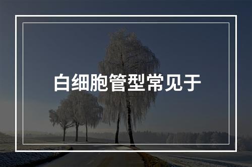 白细胞管型常见于