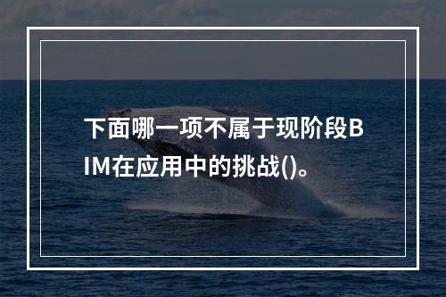 下面哪一项不属于现阶段BIM在应用中的挑战()。