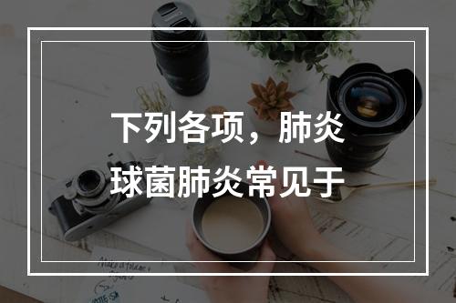 下列各项，肺炎球菌肺炎常见于