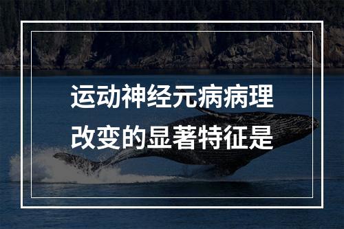 运动神经元病病理改变的显著特征是