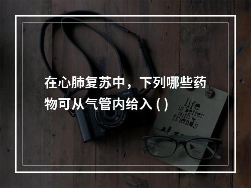 在心肺复苏中，下列哪些药物可从气管内给入 ( )