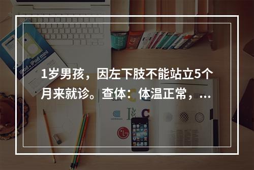 1岁男孩，因左下肢不能站立5个月来就诊。查体：体温正常，神志