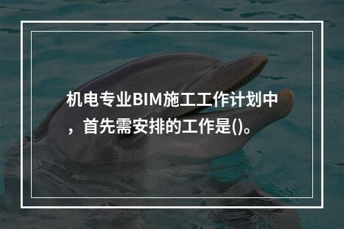 机电专业BIM施工工作计划中，首先需安排的工作是()。