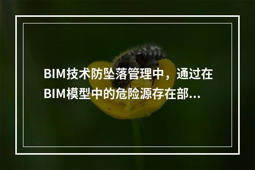 BIM技术防坠落管理中，通过在BIM模型中的危险源存在部位建