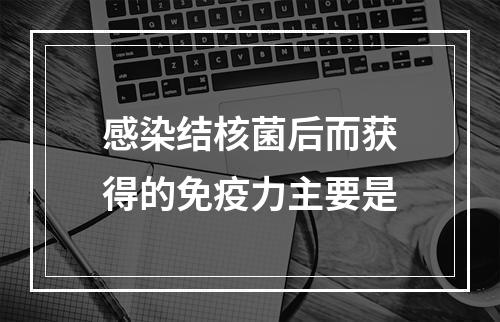 感染结核菌后而获得的免疫力主要是