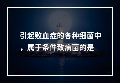 引起败血症的各种细菌中，属于条件致病菌的是