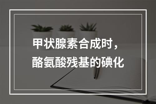 甲状腺素合成时，酪氨酸残基的碘化